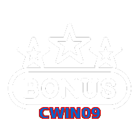 CWIN09