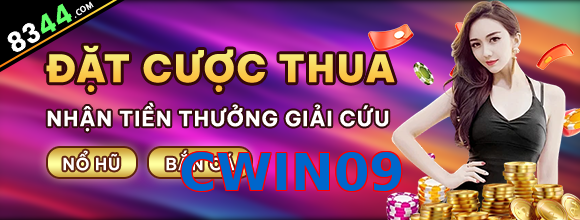 CWIN09
