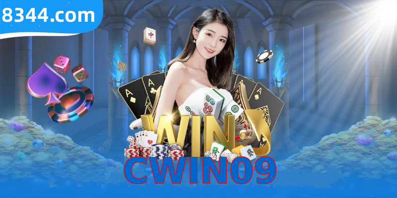 CWIN09