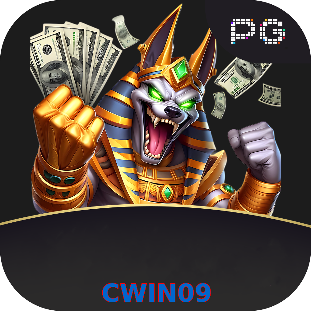 CWIN09